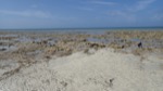 resIMG_20190706_144936_P7062016.JPG